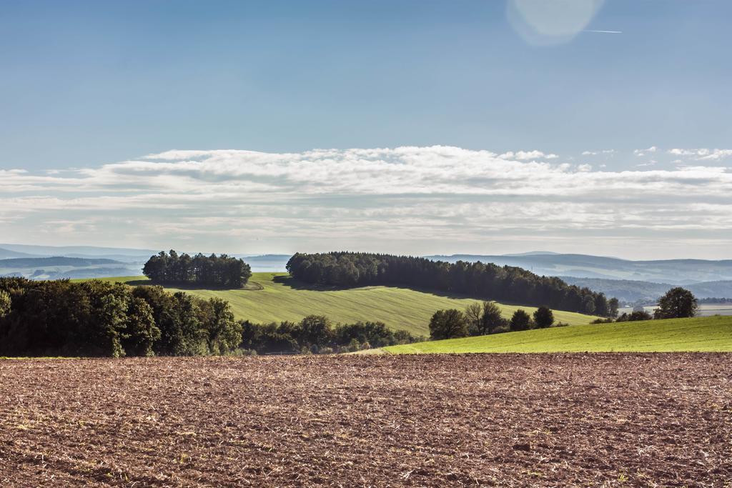 Landhotel Gutshof Hartenstein  Экстерьер фото
